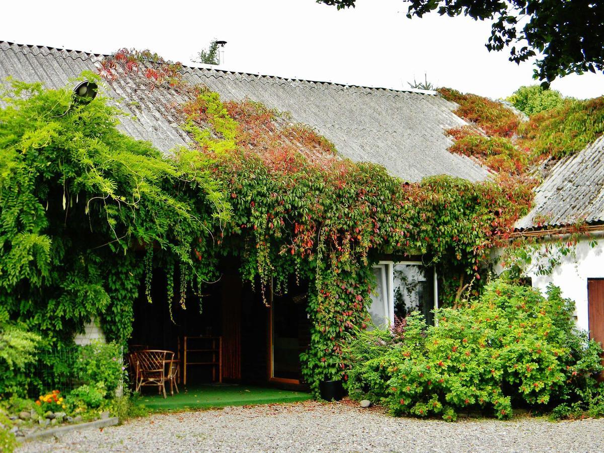 Zakatek Pod Grusza Villa Bedzino Exterior photo